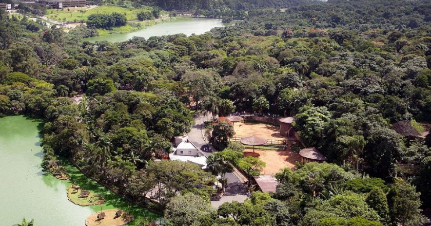 Vista aérea do Zoológico de São Paulo. Foto: Divulgação