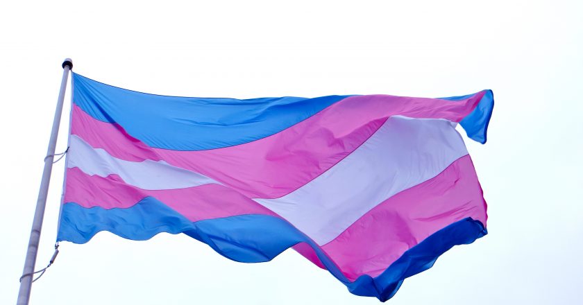 Bandeira do orgulho trans. Foto: Reprodução