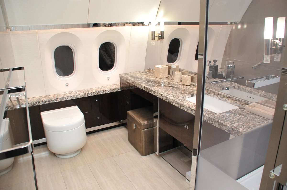 Banheiro de avião presidencial do México colocado à venda. Foto: Reprodução/Twitter/SHCP