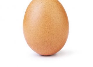 Foto de ovo é a mais curtida do Instagram. Foto: Captura de tela