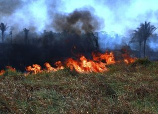 Amazônia sofre com queimadas desde o começo do mês. Foto: Fotos Públicas