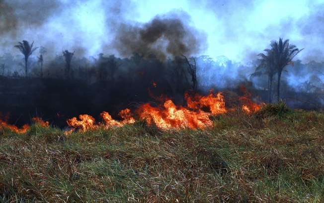 Amazônia sofre com queimadas desde o começo do mês. Foto: Fotos Públicas