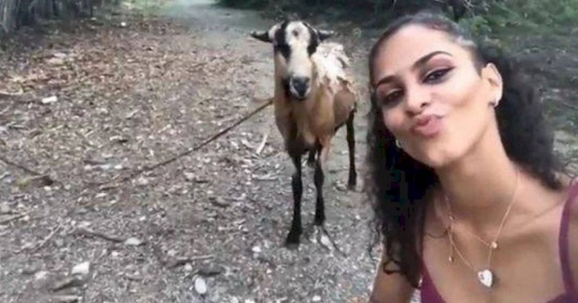 Mulher é atacada por cabra após tentar fazer 'selfie'. Foto: Reprodução de Internet