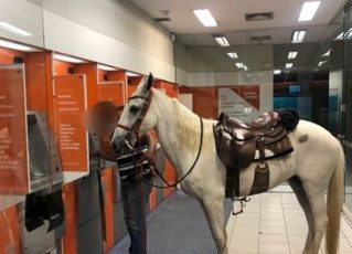 Dono levou cavalo para agência bancária em Várzea Paulista. Foto: Reprodução de Internet