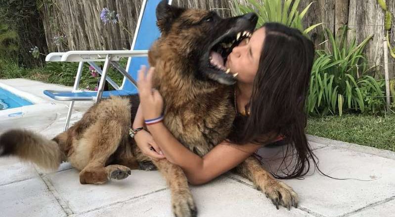 Jovem leva mordida de cachorro ao posar para foto. Foto: Reprodução de Internet