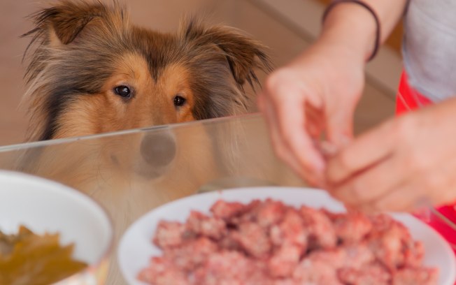 Veja os alimentos que os cães não devem comer. Foto: Reprodução de Internet