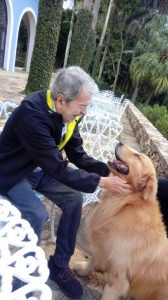 Cachorro é novo morador de residencial para idosos como meio de suprir falta de afeto físico. Foto: Divulgação