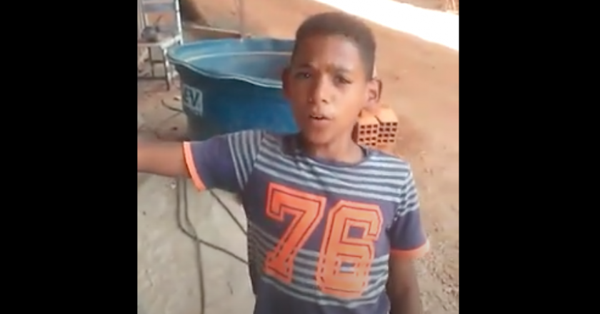 Sabiá do Piauí, menino imita sons de pássaros. Foto: Reprodução/Youtube