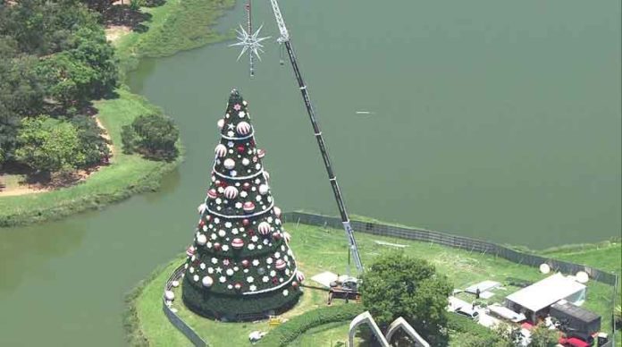 Árvore de Natal do Ibirapuera muda de lugar por causa da pandemia