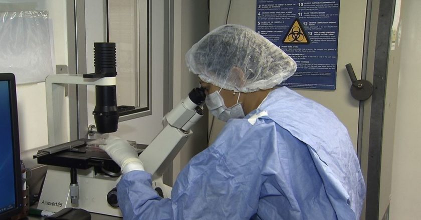 Estudos sobre o Coronavírus em laboratório. Foto: Reprodução/TV Brasil