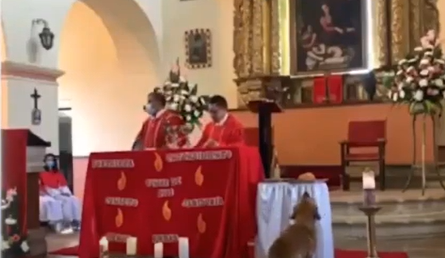 Cachorro 'rouba' pão do altar durante missa e viraliza nas redes sociais. Foto: Reprodução/Youtube