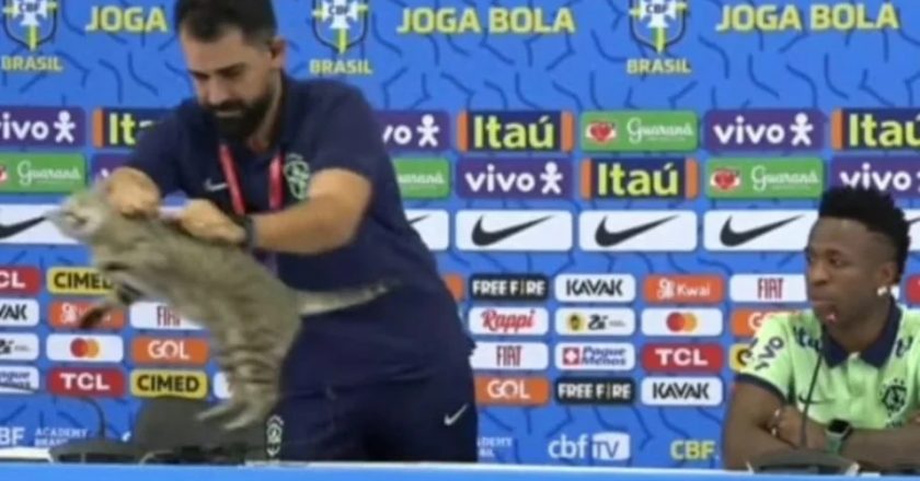 Assessor da CBF joga gato no chão durante coletiva de Vinícius Júnior. Foto: Reprodução/Twitter